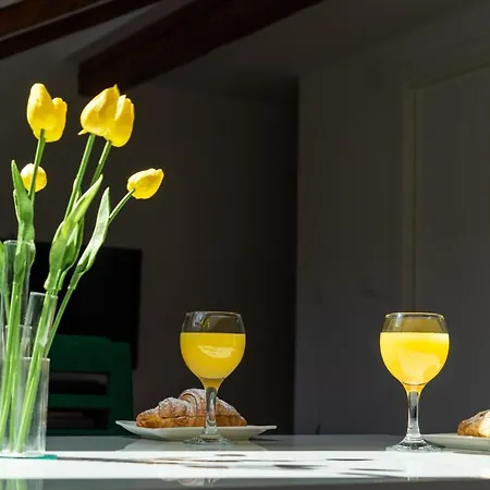 Appartement Cool Attic Marina In The Heart Of Split